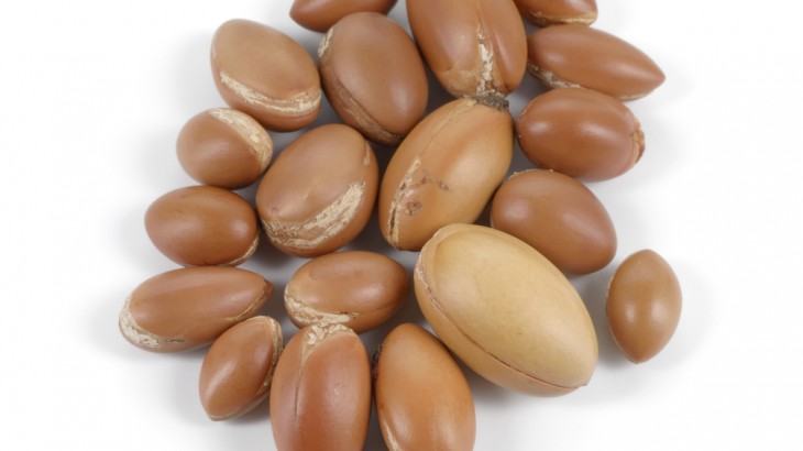 Uleiul de argan, aurul lichid al berberilor
