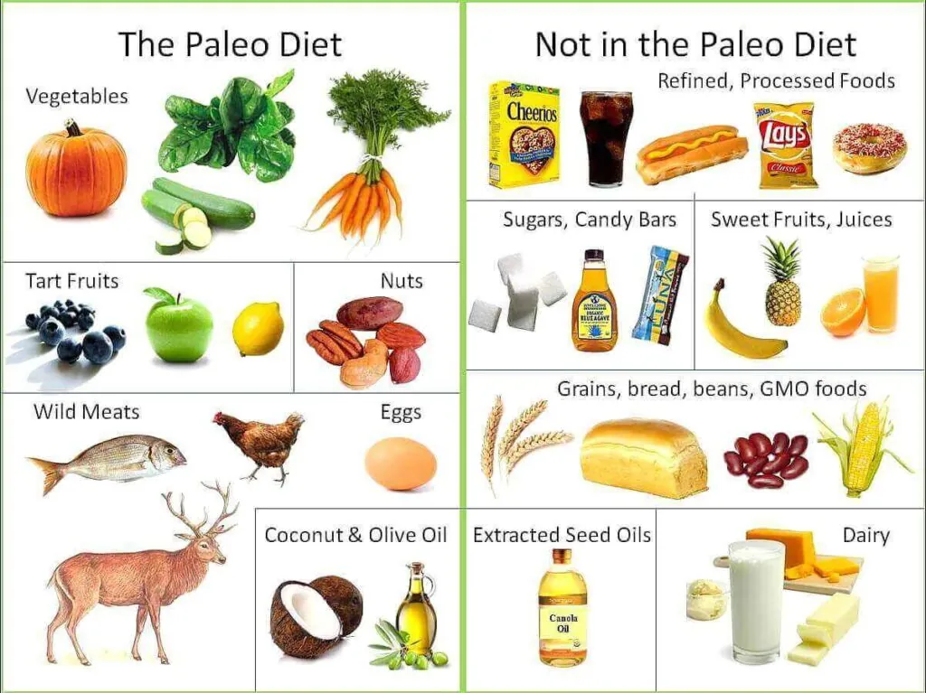 Ce este dieta paleo