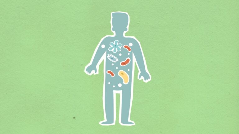 Cum influențează microbiomul intestinal sănătatea generală