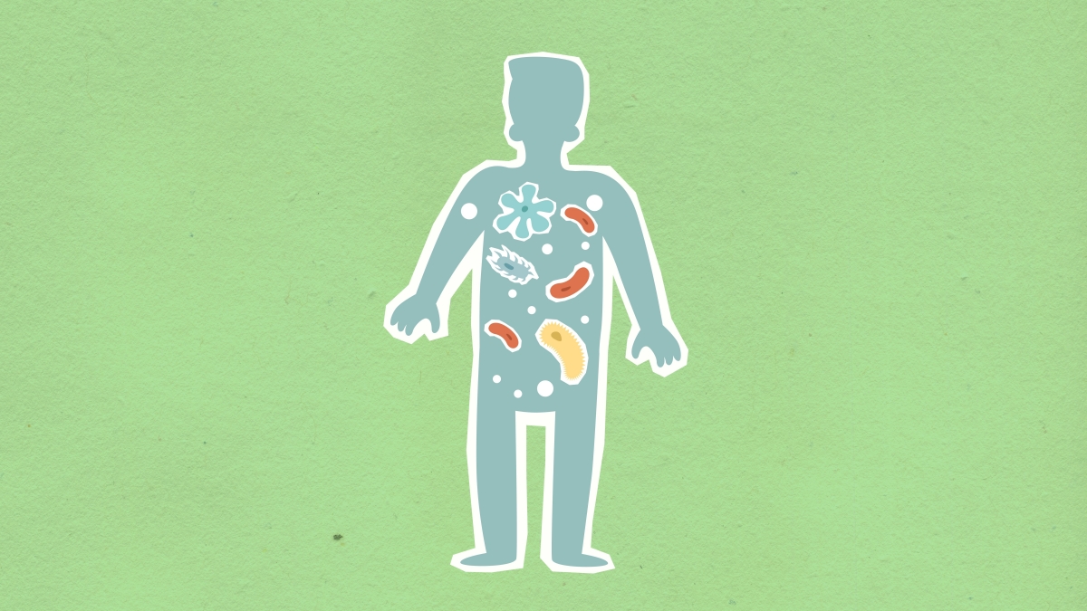 Cum influențează microbiomul intestinal sănătatea generală